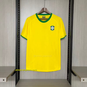 Retro brazil 1970 home