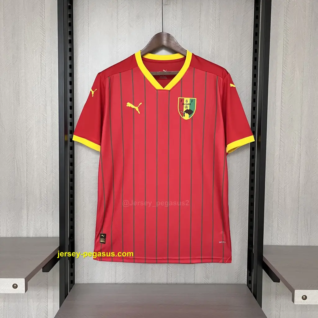 2024-25 Guinea home