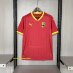 2024-25 Guinea home