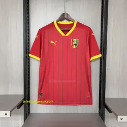 2024-25 Guinea home