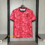 2024-25 Korea Home