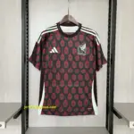 2024-25 Mexico Home