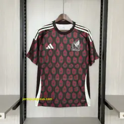 2024-25 Mexico Home