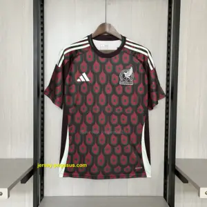 2024-25 Mexico Home