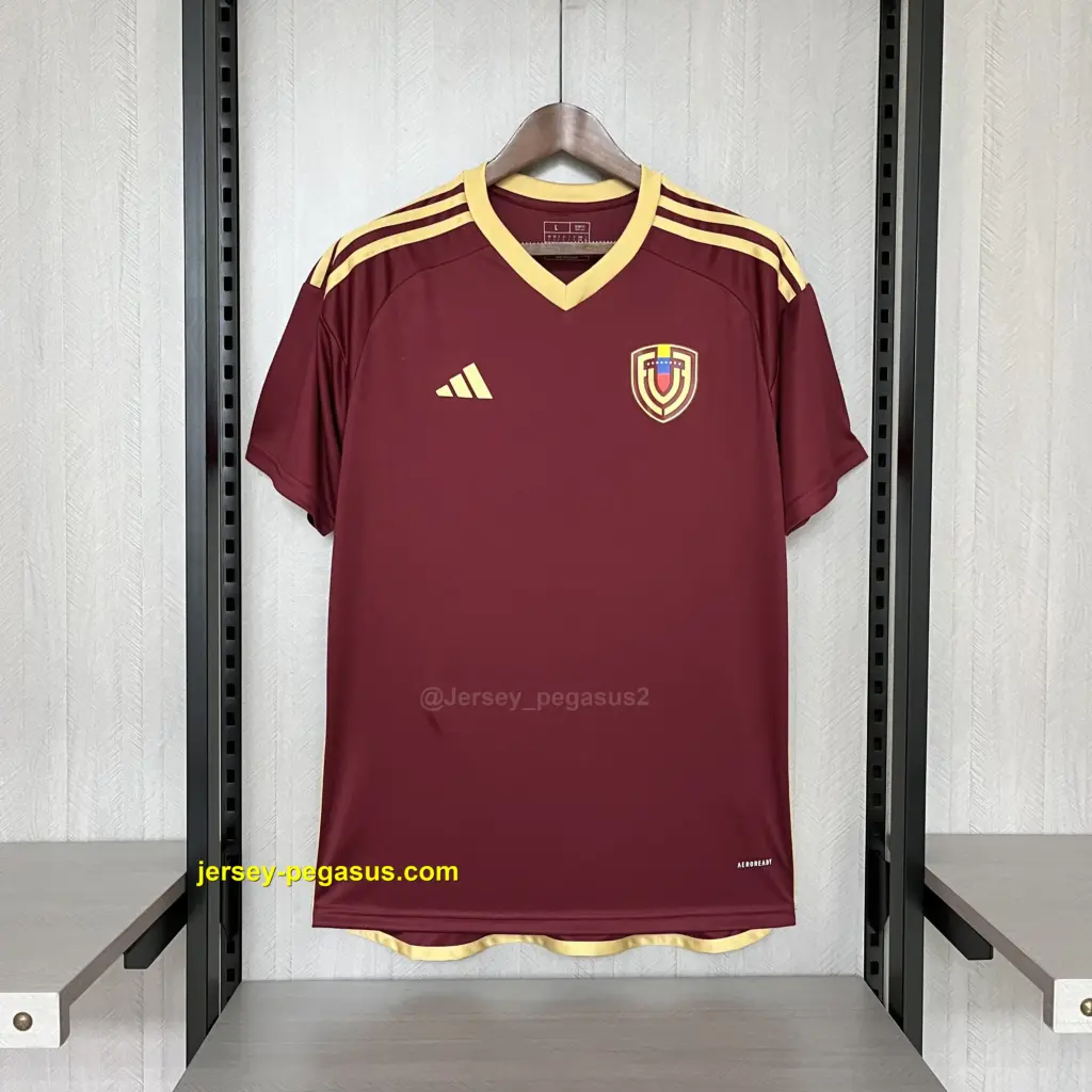 2024-25 Venezuela Home