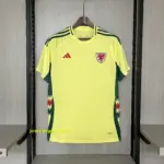 2024-25 Wales Away