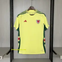 2024-25 Wales Away