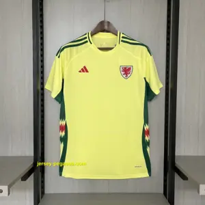 2024-25 Wales Away