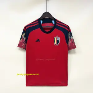 Belgium Home