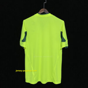 Retro Palmeis Goalkeeper Green