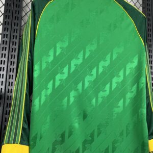 Celtic 2024-25 Special Edition Long Sleeves Retro Jersey