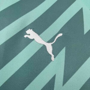 Palmeiras Goalkeeper Green Kit Jerseys Supllier