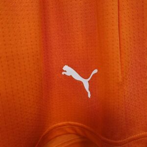 2026 Ivory Coast Home Shorts Player Version Football Pants
