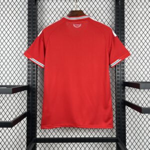 2026 Wales Home World Cup 2026 Football Apparels AAAA Jersey Wholesale