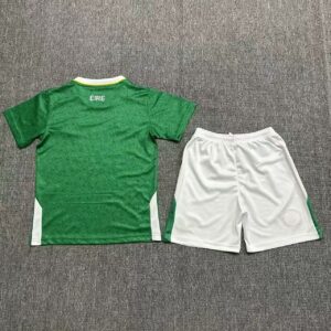 2024 Ireland Home Kid Kits Youth Apparels Soccer Jerseys