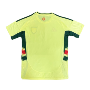 Wales 2024-25 Euro Away Jersey
