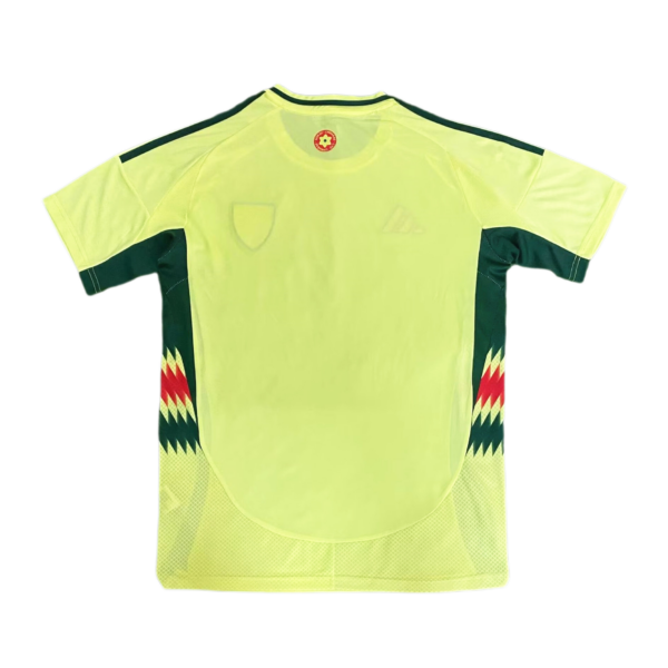 Wales 2024-25 Euro Away Jersey