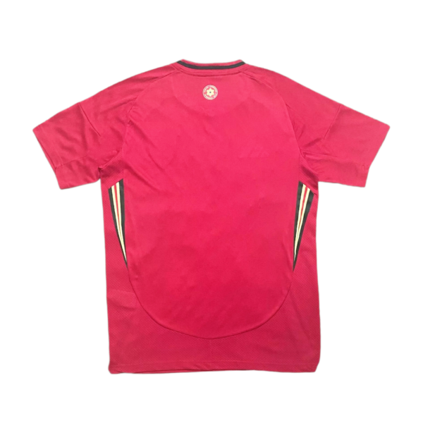 Wales 2024-25 Euro Home Jersey
