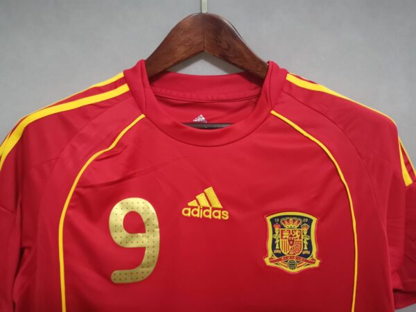 2008 Spain home