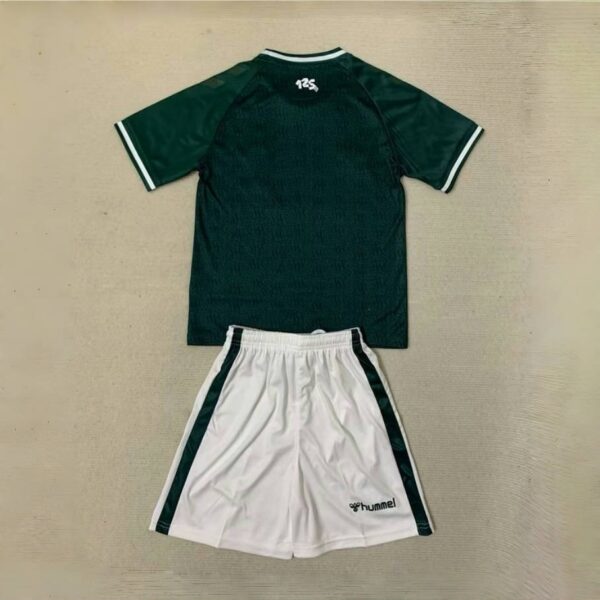 Werder Bremen Adults And Kid Kits Football