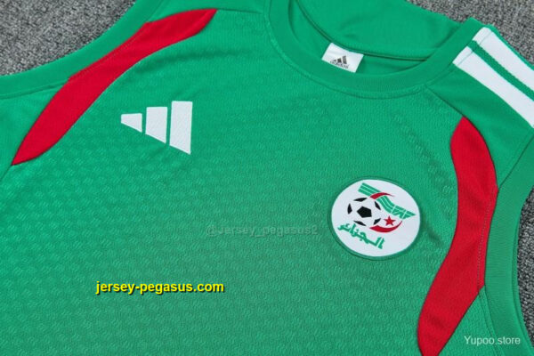 Algeria Green Sleeveless Training Vest +Shorts Set