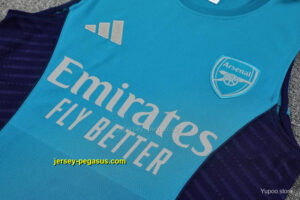 Arsenal Light Blue & Navy Blue Sleeveless Training Vest + Shorts