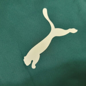 Palmeiras Windbreaker White and Green