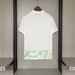 2026-27 Ivory Coast Jersey