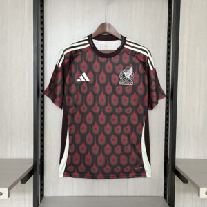 2024-25 Mexico Home