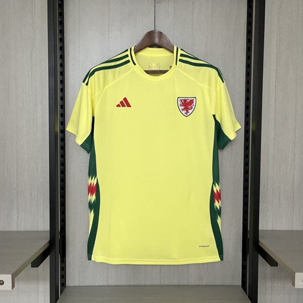 2024-25 Wales Away