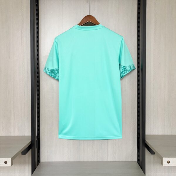 2026-27 Palmeiras Goalkeeper Jersey