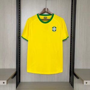 Retro brazil 1970 home