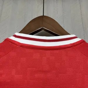2024-25 Denmark home
