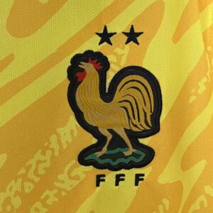 2024 France Goalkeeper Yellow Kit UEFA Euro Football Replicas