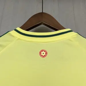 2024-25 Wales Away