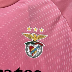 Benfica Pink Goalkeeper Kit Football Apparels