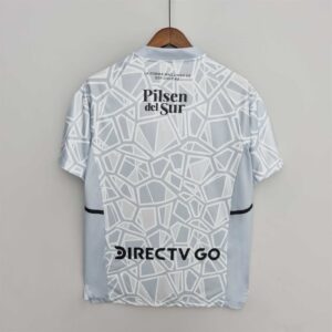 Colo-Colo goalkeeper grey