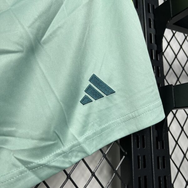 2024 Mexico Away Shorts Football Trousers Soccer
