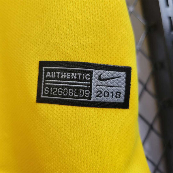 2018 Brazil home