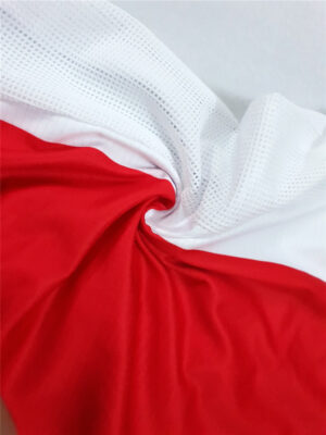 Ajax home redwhite