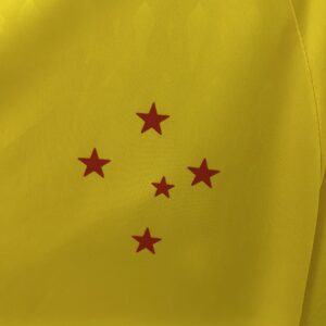 Cruzeiro Goalkeeper Yellow Kit Soccer T-Shirt