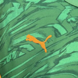 Dortmund Green Goalkeeper Shirt Football Uniform