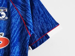 Cardiff City home