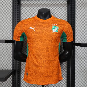 2026 Ivory Coast Home Kit World Cup 2026 Player Version Soccer T-Shirt AAAAJerse