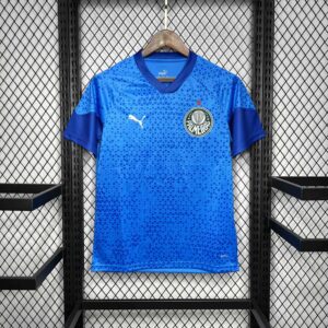 Palmeiras Goalkeeper Blue Kit Football Uniform