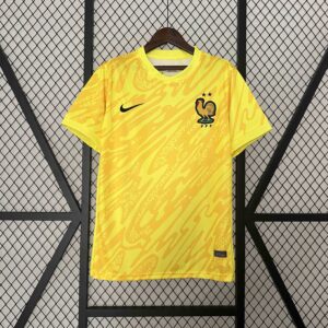 2024 France Goalkeeper Yellow Kit UEFA Euro Football Replicas
