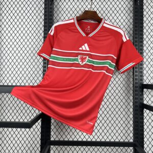 2026 Wales Home World Cup 2026 Football Apparels AAAA Jersey Wholesale