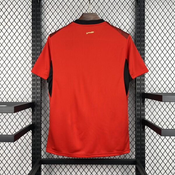 World Cup Jersey 2026 Egypt Home Kit Soccer T-Shirt