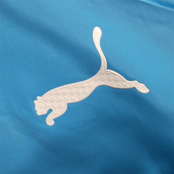 Windbreaker Kawasaki Frontale