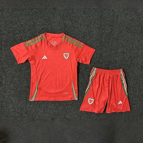 2024 Wales Home Kid Kits Children Sets Football